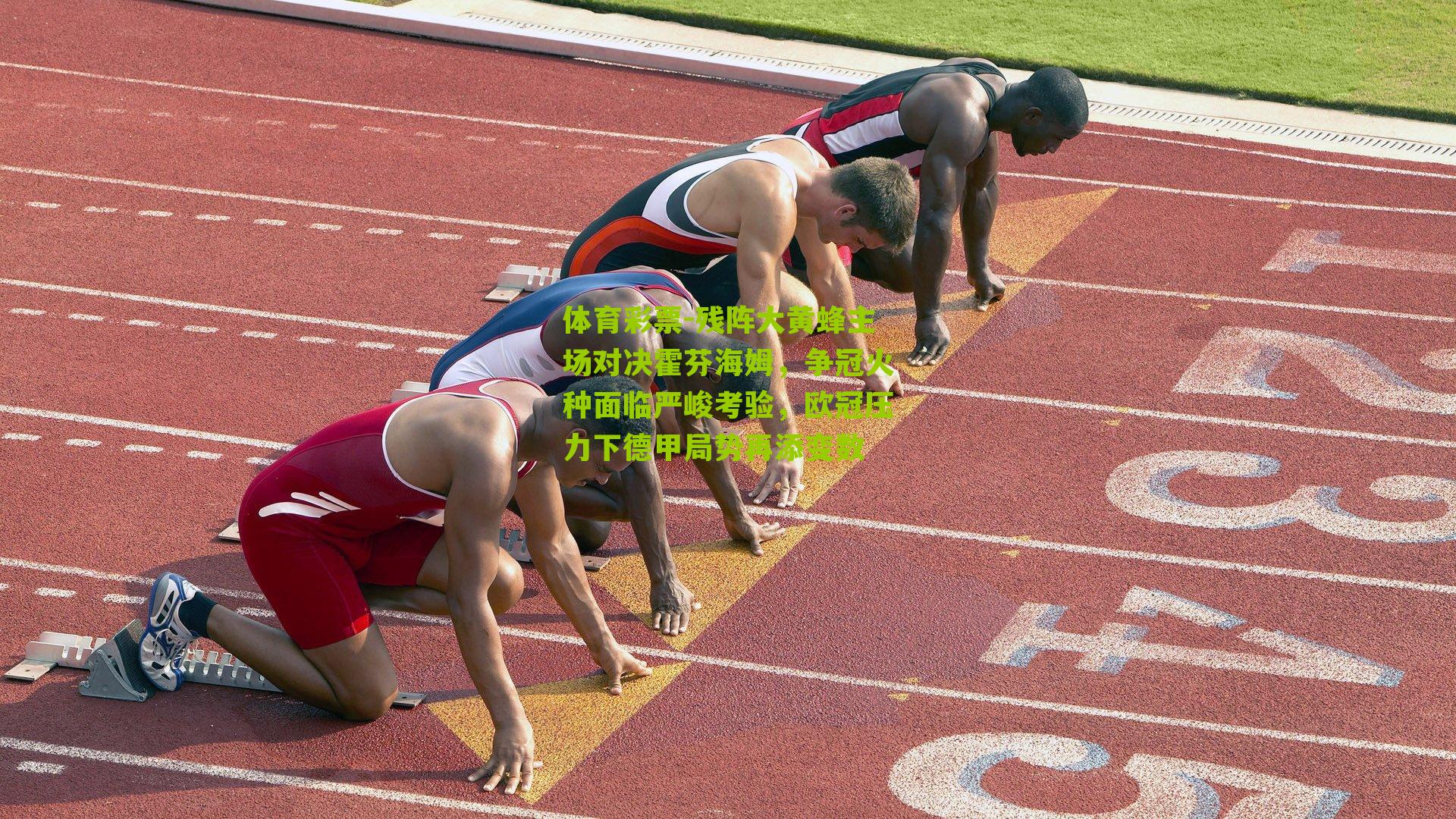 残阵大黄蜂主场对决霍芬海姆，争冠火种面临严峻考验，欧冠压力下德甲局势再添变数